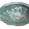 abalone shell