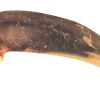 badger claw