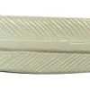 bone feather-bp36