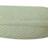 bp36a