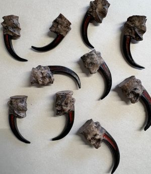 Synthetic Eagle Claw
