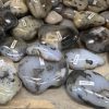 dendritic agate one face