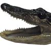 gator farm