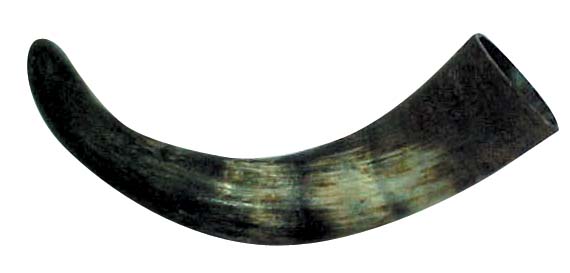 horn1