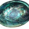 polished ashell inside