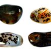 AGATE GALLET_clipped_rev_1_1
