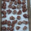 Aragonite Flat Medium