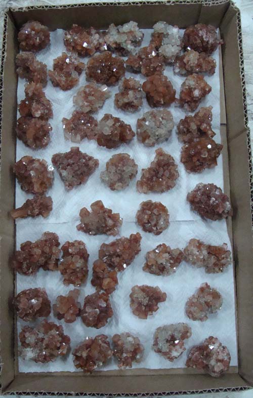 Aragonite Flat Medium