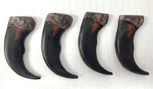 Synthetic Bear Claws-2"