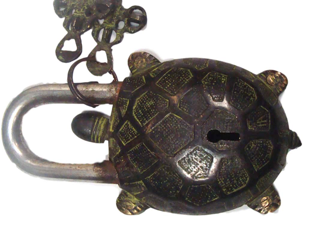 Lock lrg Turtle_1