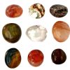 MIXED GALLET_clipped_rev_1_1