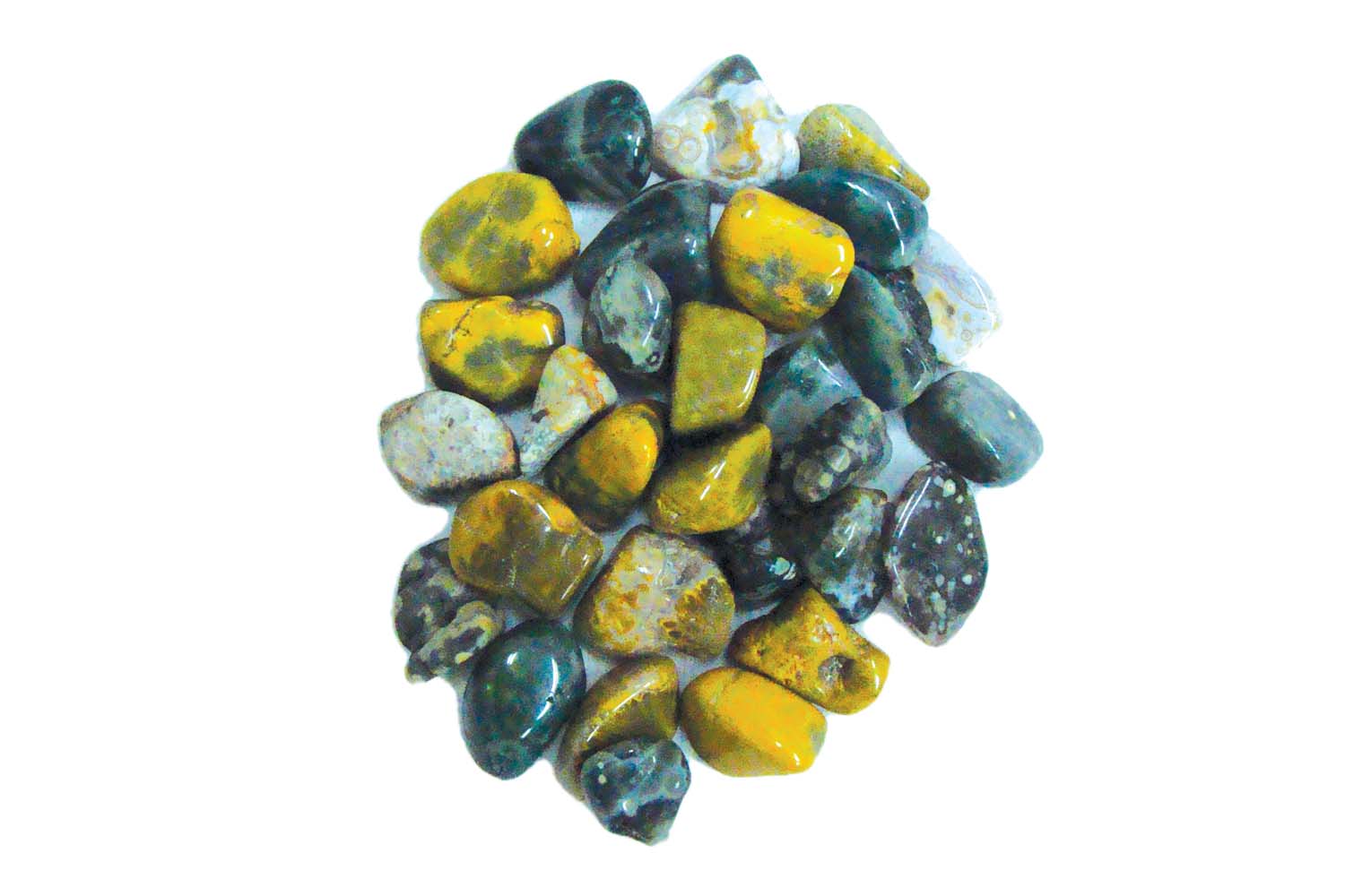 Obicular Jasper Tstone