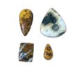 Ocean Jasper