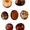 PET WOOD GALLET LRG_clipped_rev_1