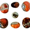 POLY GALLET_clipped_rev_1_1