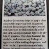 Rainbow Moonstone Front