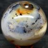 SPHERE_DENDRI