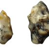 agate dendritic flame_1