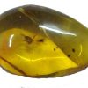 amber cab