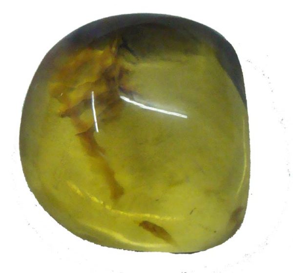 amber cab2