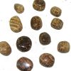 aragonite tumble