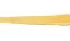 back scratcher
