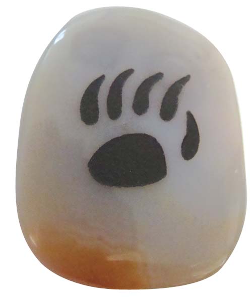 bear paw