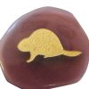 beaver