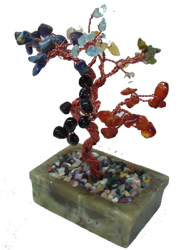 bonsai tree