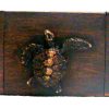 box turt
