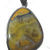 bumble bee jasper