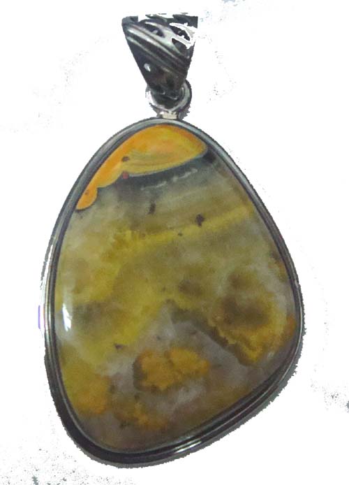 bumble bee jasper