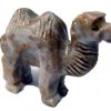 camel