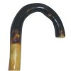 cane burnt