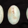 carribean soap