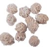 desert rose