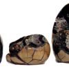 dragon egg 1_clipped_rev_1_1