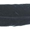 feather black