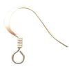finding earwire small