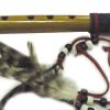 flute with leather