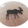 moose