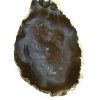 oco pendant oval