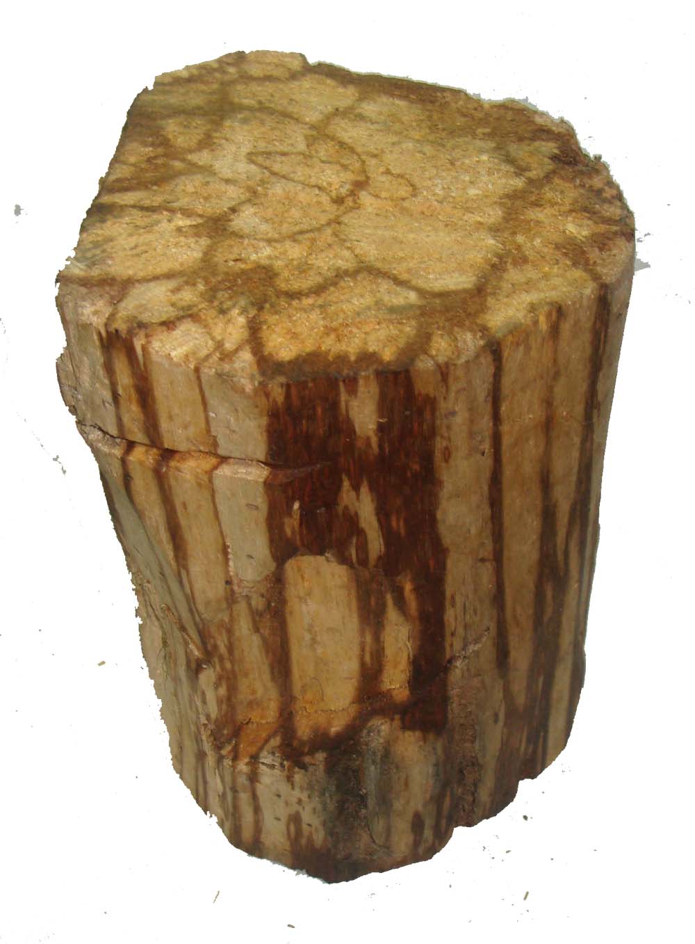 palo log2