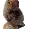 parrot