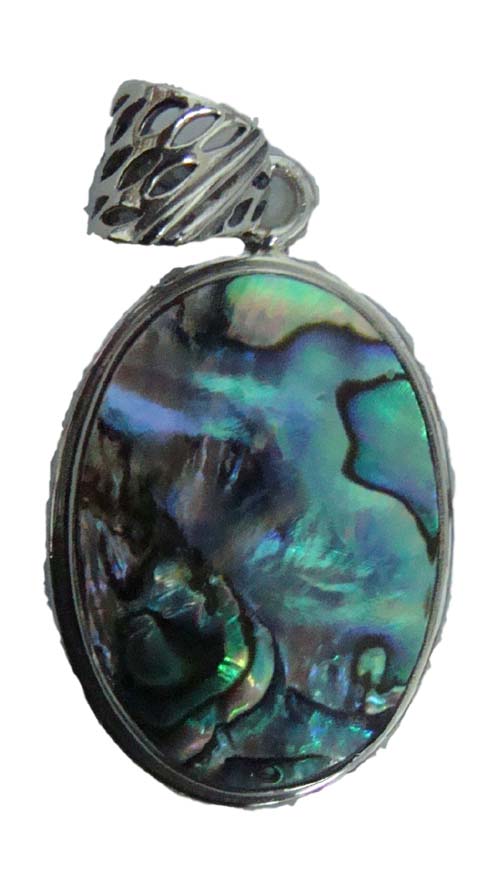 paua shell