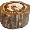 pet wood branch_clipped_rev_1_1