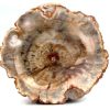 pet wood dish