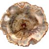 pet wood dish_clipped_rev_1