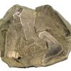 pyrite cube2
