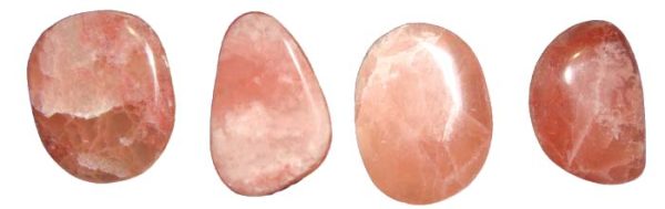 red rose palmstone
